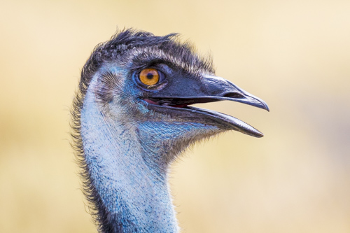 karijini ningaloo photo tour example 10